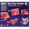 Lindberg The Five Senses Kit