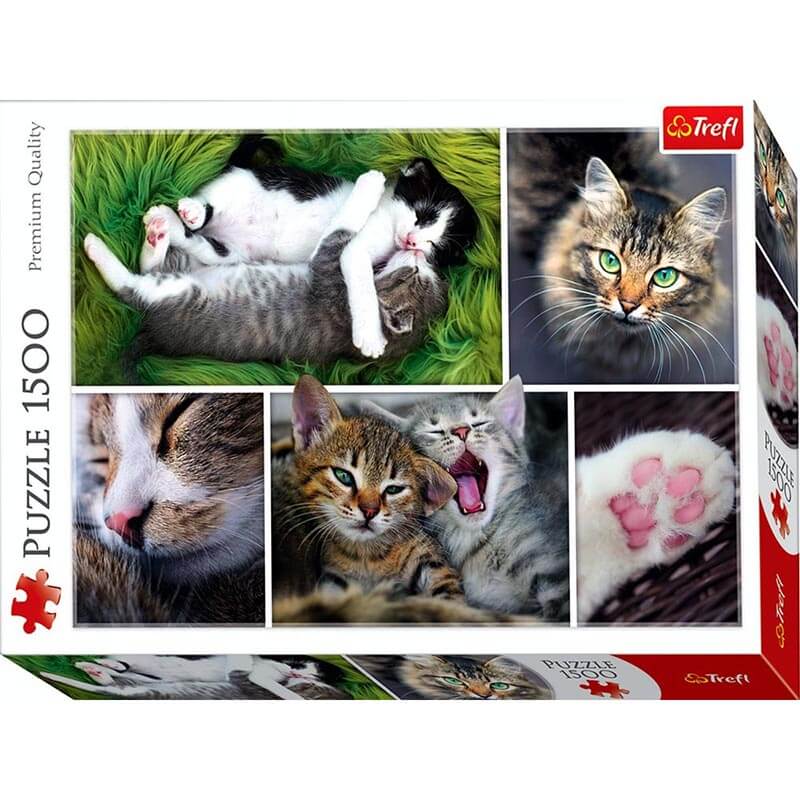 Just Cat Things - Collage 1500pc Puzzle
