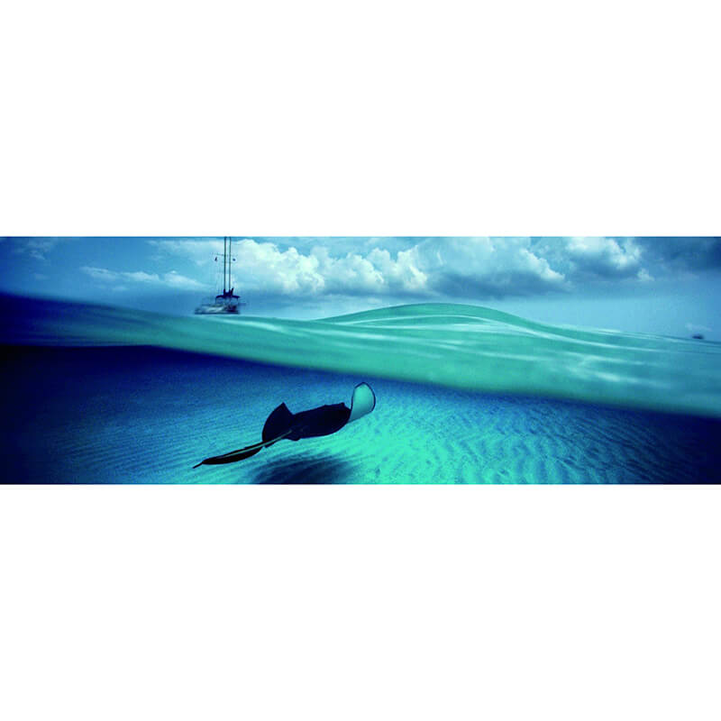 Stingray 1000pc Puzzle