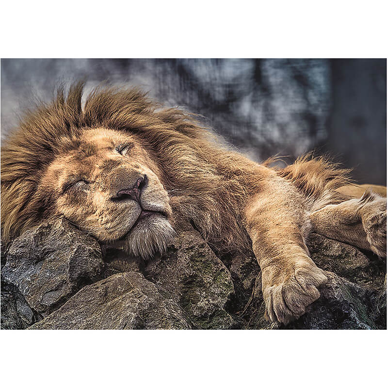 Sleeping Lion 1000pc Puzzle