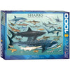 Sharks 1000pc Puzzle