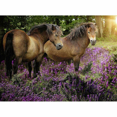 Ponies in the Flowers 500pcs Puzzle