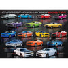 Dodge Charger Challenger Evolution 1000pc Puzzle