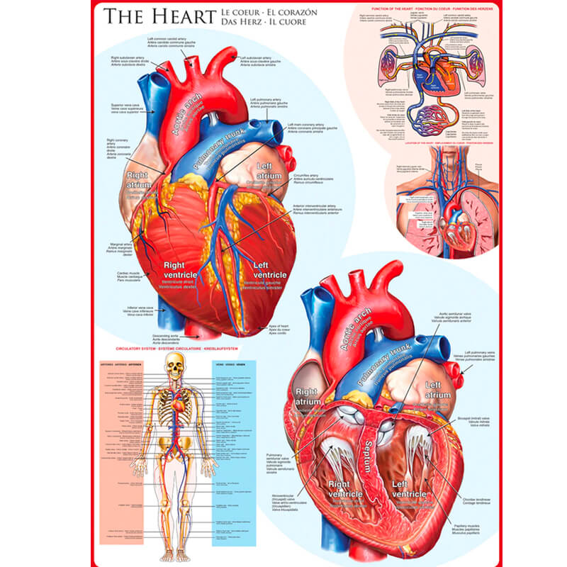 The Heart 1000pc Puzzle