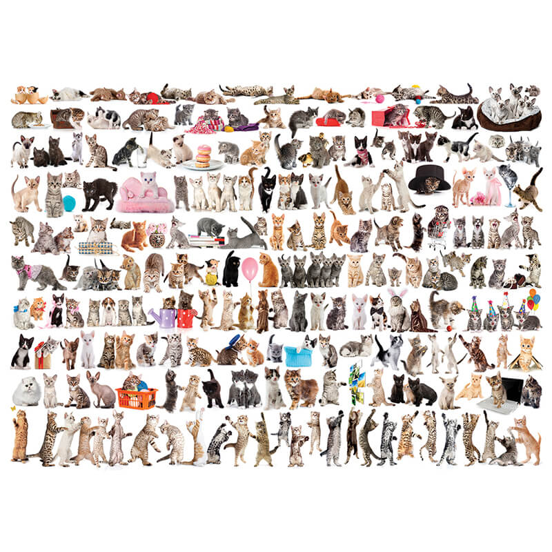 The World Of Cats 1000pc Puzzle