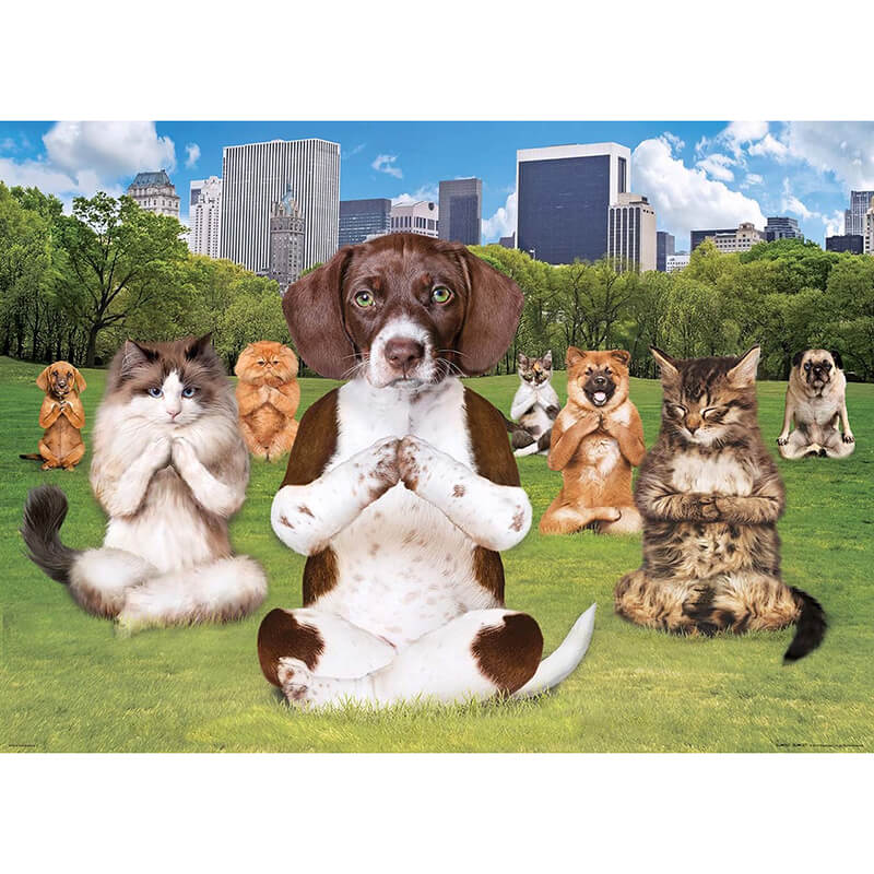 Yoga Park 300pcs Puzzle