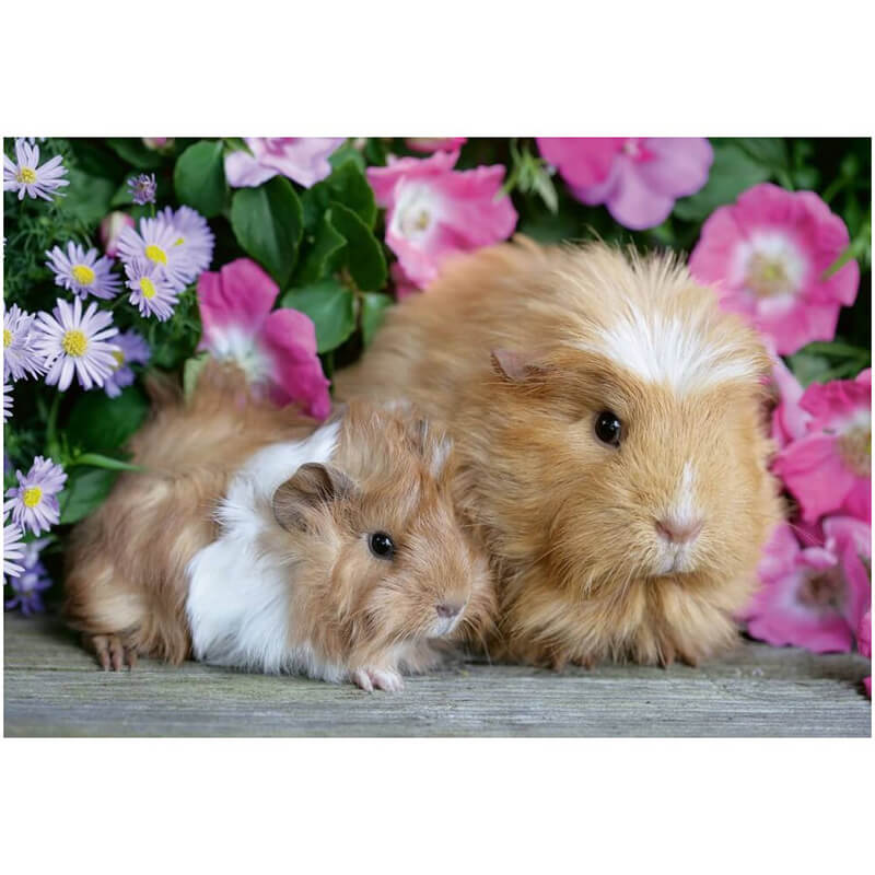 Guinea Pigs & Bunnies 2x12pcs Puzzle