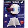 Lindberg Human Eye Kit