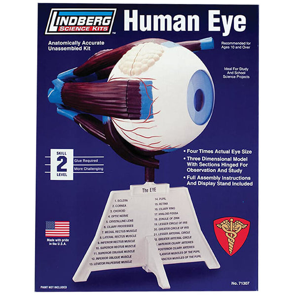 Lindberg Human Eye Kit - Hobbies N Games