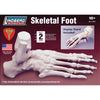 Lindberg Skeletal Foot Kit