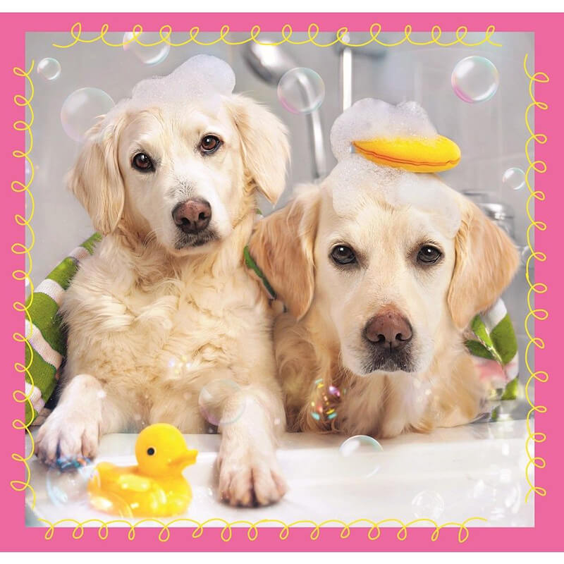 Dog In The Bath 3 In 1 Puzzle