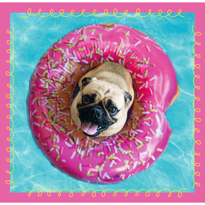 Dog In The Bath 3 In 1 Puzzle