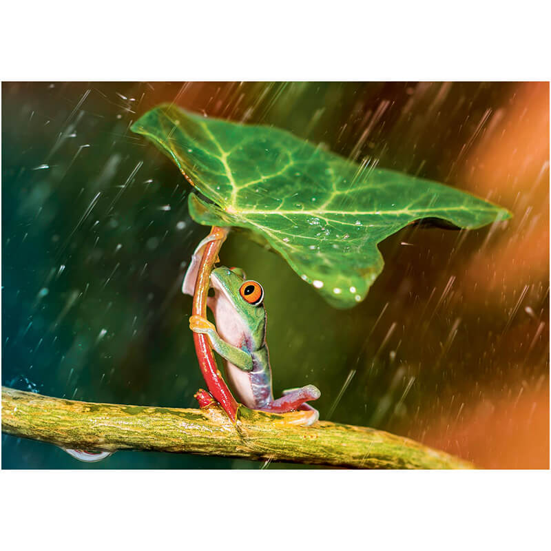 Green Umbrella 500pc Puzzle