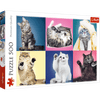 Kittens 500pc Puzzle