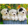 Cuddly Puppies 200pcs Puzzle