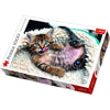 Cheerful Kitten 1000pc Puzzle