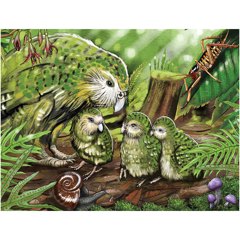 Kakapo Kaha By Ned Barraud 300pc Puzzle