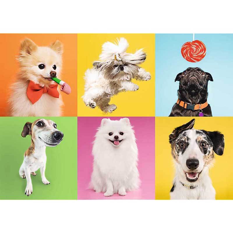 Dogs 500pc Puzzle