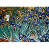 Irises by Vincent Van Gogh 1000pc Puzzle