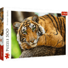 Tiger Portrait 500pc Puzzle