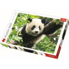 Giant Panda 500pc Puzzle
