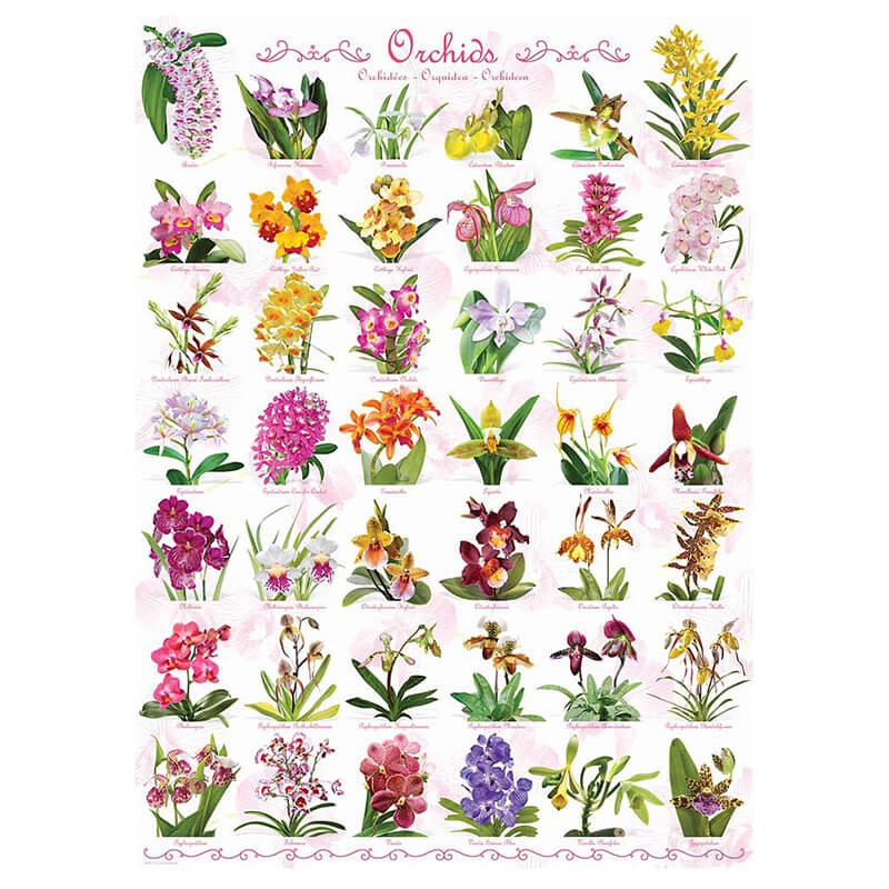 Orchids 1000pc Puzzle