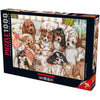 Puppies By Debbie Cook 1000pc Puzzle