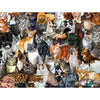 Cat Collage by Lucia Guarnatta 300pc Puzzle