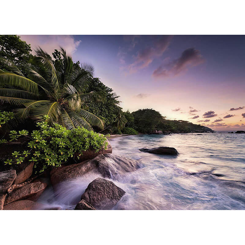 Praslin Island, Seychelles 1008pcs Puzzle