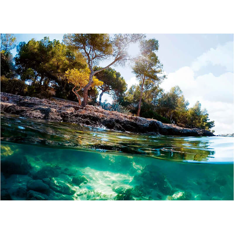 Points of View 1000pcs Puzzle