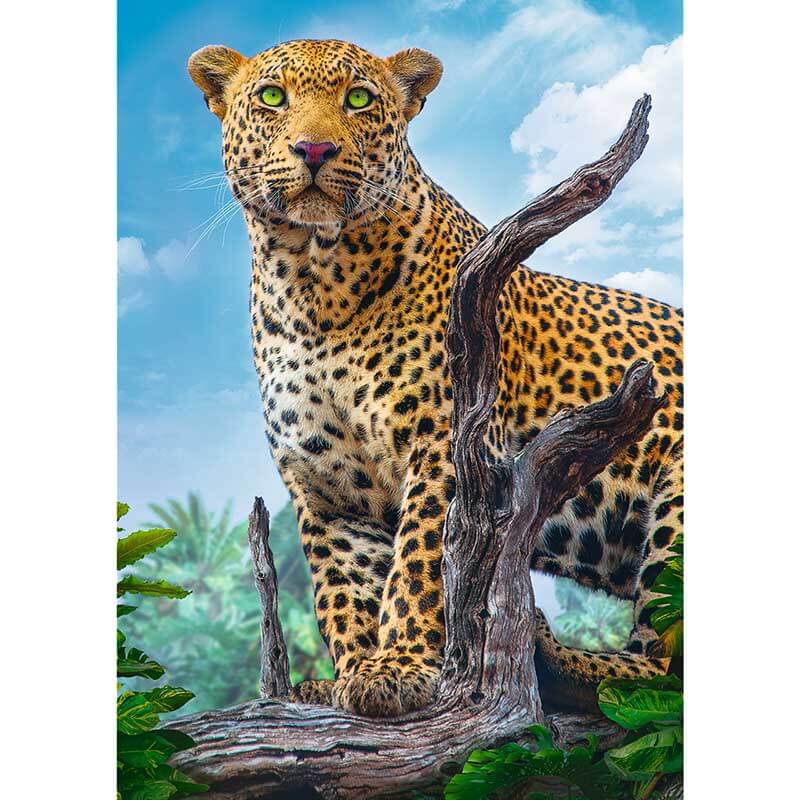 Wild Leopard 500pc Puzzle