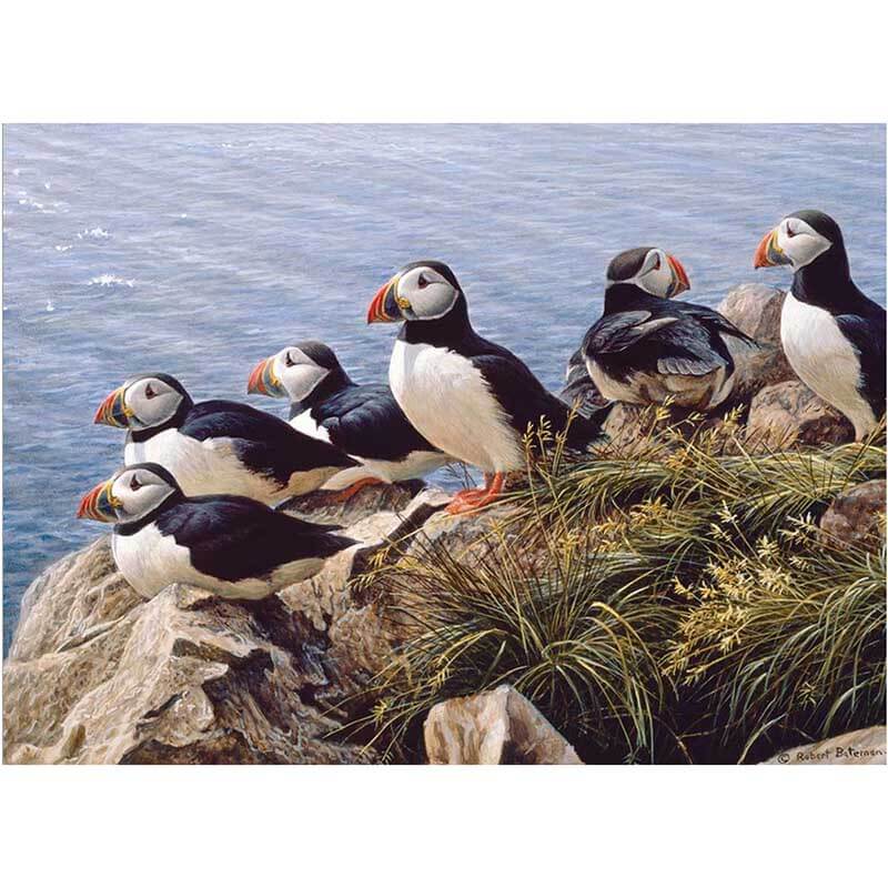 Bright Day 1000pc Puzzle