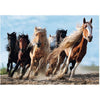 Galloping Horses 1000pc Puzzle