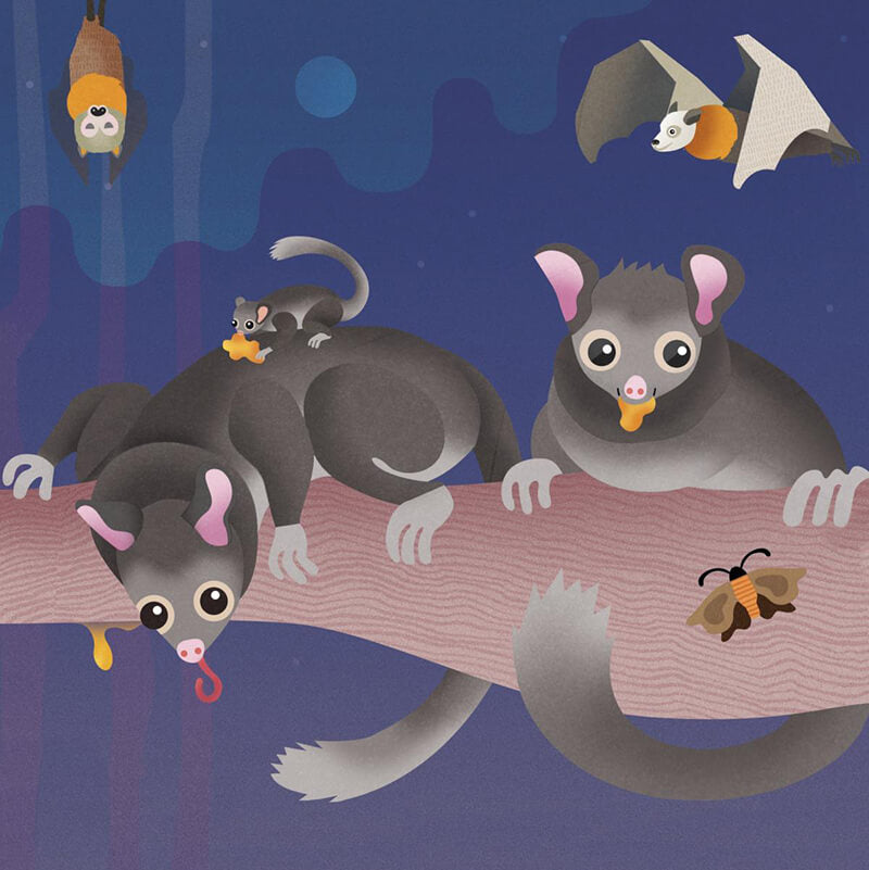 Wild Australia Leadbeater's Possums 3x49pcs Puzzle