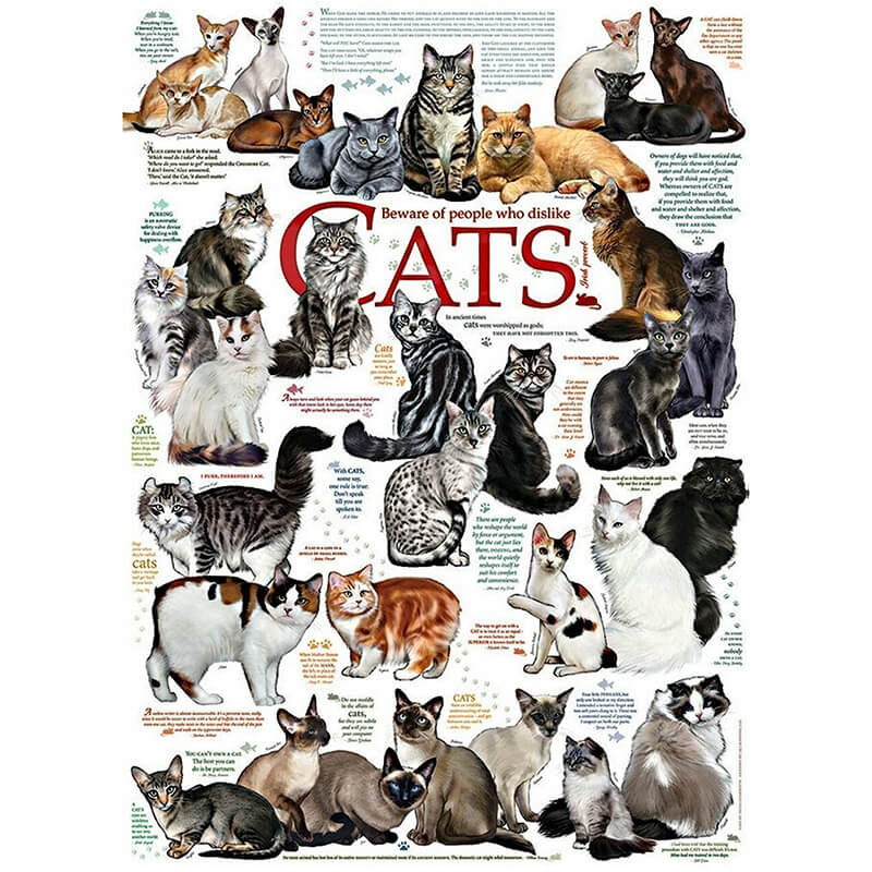 Cat Quotes 1000pc Puzzle