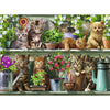 Cats on the Shelf 500pcs Puzzle