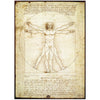 The Vitruvian Man by Leonardo Da Vinci 1000pc Puzzle
