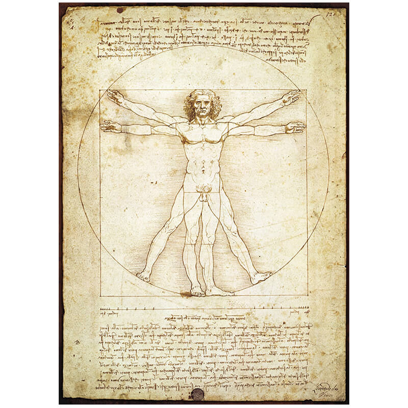 The Vitruvian Man by Leonardo Da Vinci 1000pc Puzzle