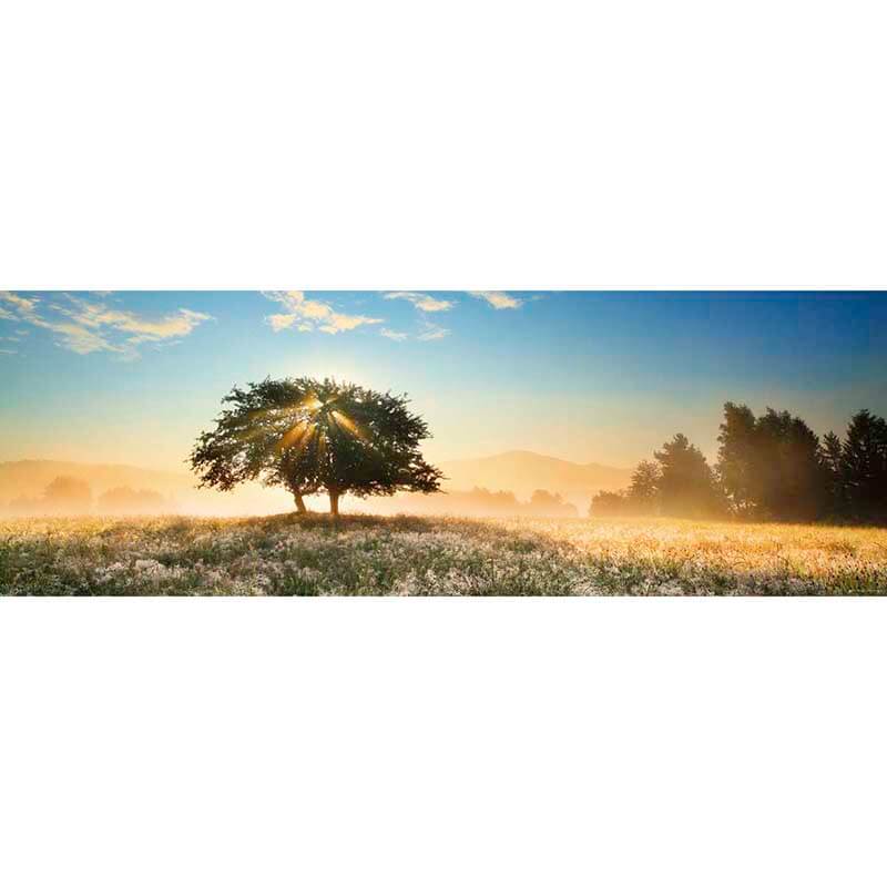 Play of Light 1000pc Puzzle