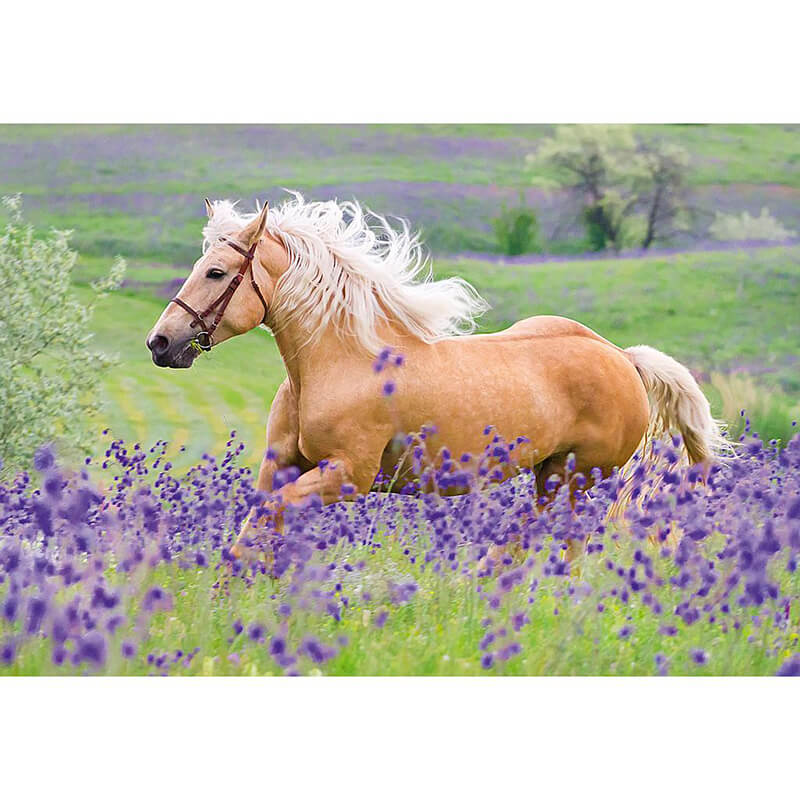 Horses Friends 2x24pcs Puzzle