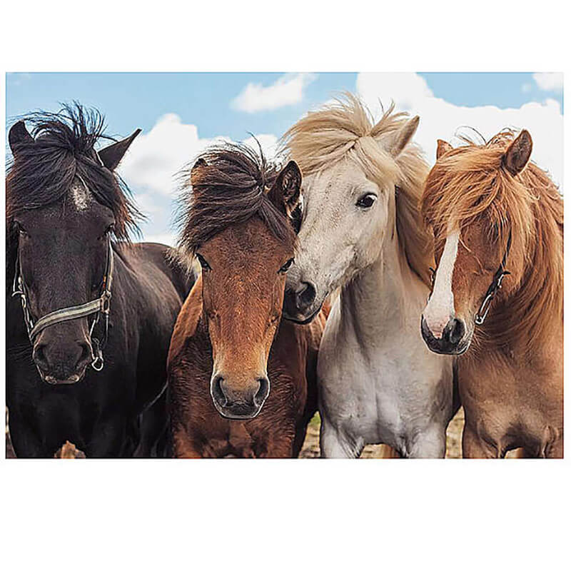 Horses Friends 2x24pcs Puzzle
