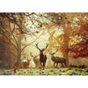 Stags 1000pc Puzzle