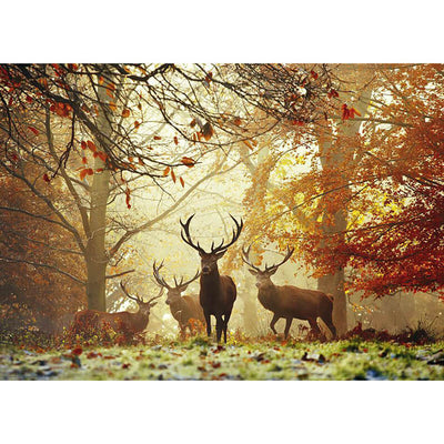 Stags 1000pc Puzzle