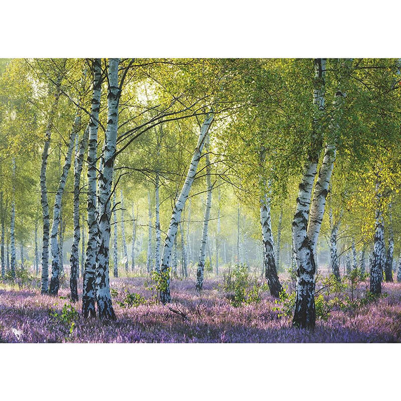 Birch Forest 1000pcs Puzzle