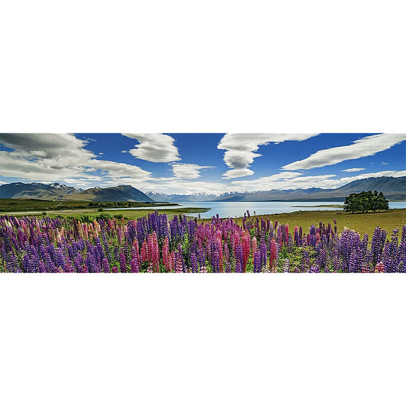Lake Tekapo 1000pc Puzzle