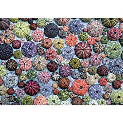Sea Urchins 1000pc Puzzle