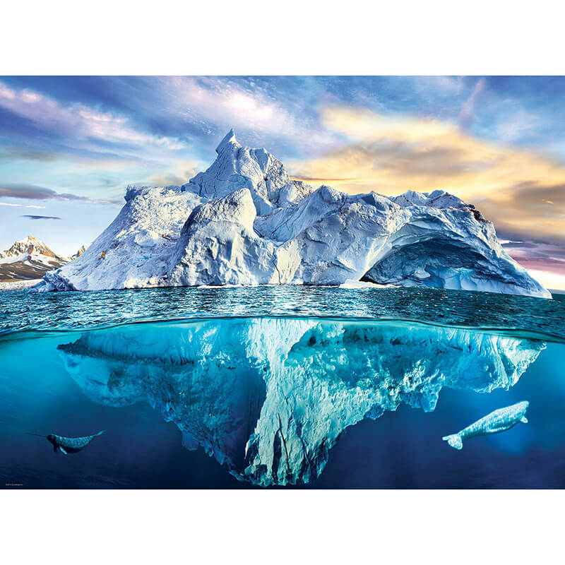Arctic 1000pc Puzzle