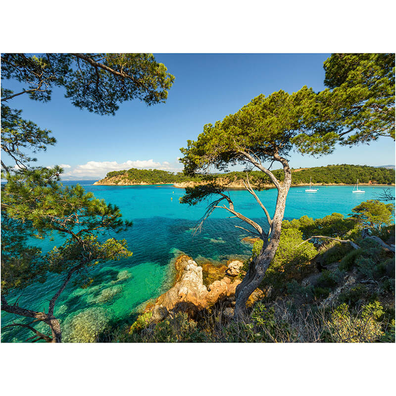 Beautiful View 500pcs Puzzle