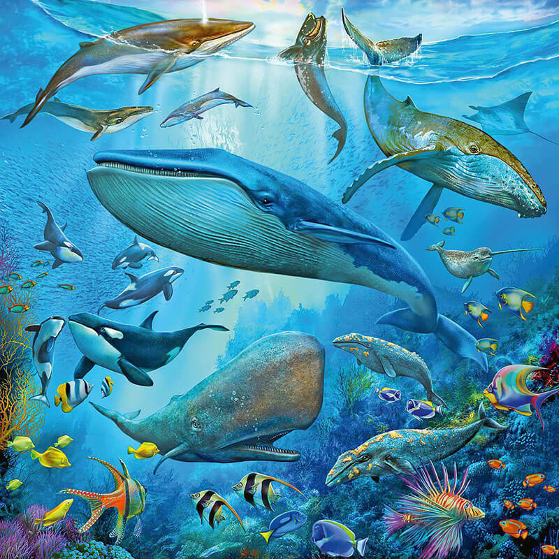 Ocean Life 3x49pcs Puzzle