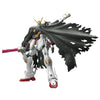 Bandai 1/144 RG Crossbone Gundam X1 Kit